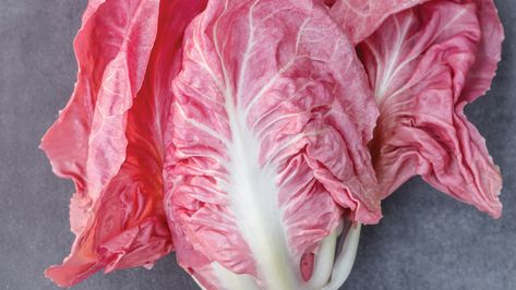 Pink Radicchio. Pink is pretty, but it's also healthy. Here's what it is and how to eat it. Pink Lettuce, Summer Planting, Fall Planting, Growing Potatoes, Heirloom Vegetables, Pink Starbucks, Green Food Coloring, Bee On Flower, Different Shades Of Pink