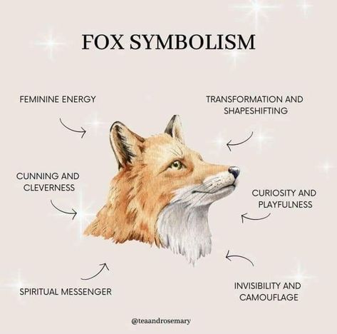 Fox Symbolism, Wicca Aesthetic, Aesthetic Magic, Animal Meanings, Chihiro Y Haku, Animal Spirit Guides, Spell Work, Witch Spirituality, Animal Guides