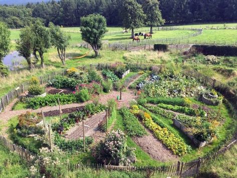 Le Jardin Mandala en Permaculture, principes et inspirations | Alsagarden - Le Blog des Jardiniers Curieux Permaculture Principles, Potager Garden, Permaculture Gardening, Permaculture Design, Farm Ideas, Veg Garden, Food Forest, Food Garden, Back Gardens