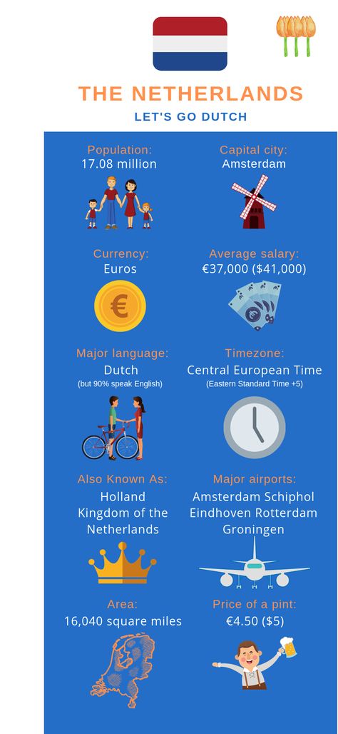 Moving to the Netherlands from the US in 2020 | MoveHub Moving To The Netherlands, Rotterdam Netherlands, International Move, The Hague, International School, Eindhoven, Countries Of The World, Capital City, Rotterdam