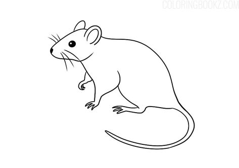 Mouse Coloring Page - Coloring Books #mouse #mouseart #mousearts #drawingmouse #mousecoloring #mousecoloringpage #mousecoloringpages #mousecoloringbook #mousecoloringbooks #adultcoloring #adultcoloringpage #adultcoloringpages #adultcoloringbook #howtodrawmouse #mousedraw Rat Outline, Mouse Standing Up Drawing, Mouse Looking Up Drawing, Cute Mouse Coloring Pages, Mouse Template, Mouse Outline, Coloring Books For Kids, Field Mouse, Mouse Drawing