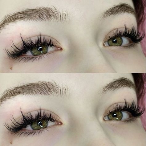 Fairy Eyelash Extensions, Eyelash Goals, Natural Fake Eyelashes, Bold Eyeshadow, Mekap Mata, Lashes Fake Eyelashes, 20 Makeup, Lash Extensions Makeup, Lash Sets