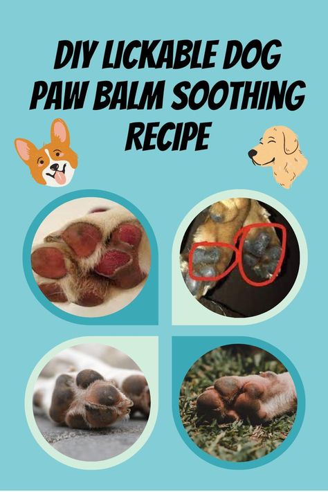 Our dogs also suffer from dry, cracked, or ripped feet. Hot and cold temperatures will dry out and damage the paws on their feet. However, there's nothing to worry about as you can make a DIY lickable dog paw balm soothing recipe for them. Here are steps on making them. Diy Dog Paw Balm Vegan, Dog Paw Soak Diy, Dog Paw Balm Recipe, Paw Balm For Dogs Diy, Diy Paw Balm For Dogs, Dog Balm For Paws, Diy Dog Paw Balm, Dog Paw Salve, Paw Balm Recipe