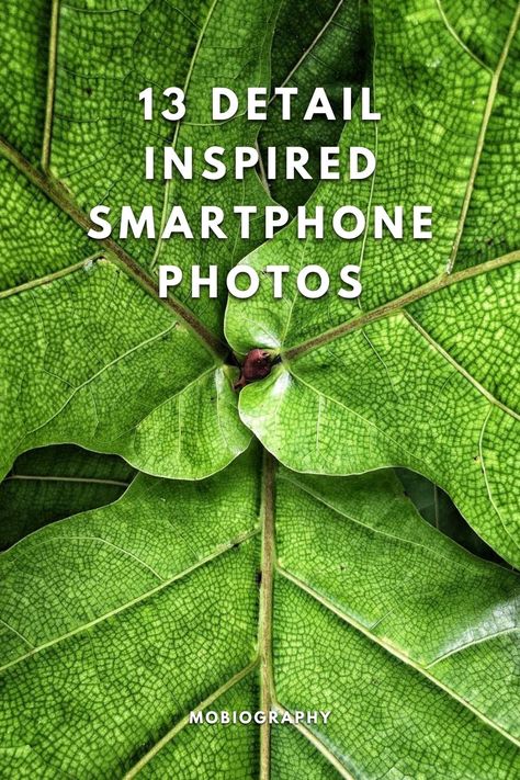 Check out the winners of the latest Mobiography photo challenge with these 13 Detail Inspired Smartphone Photos. Get inspired!! Mobile Photography Ideas Nature, Photography With Iphone, Smartphone Photography, Mobile Photos, Photography Challenge, Photo Challenge, Iphone Photography, Mobile Photography, How To Take Photos