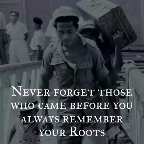 Never forget your roots Never Forget Your Roots Quotes, Your Roots Quotes, Roots Quotes, Afrocentric Decor, Night Drives, Never Forget You, Always Remember You, Forget You, Night Driving