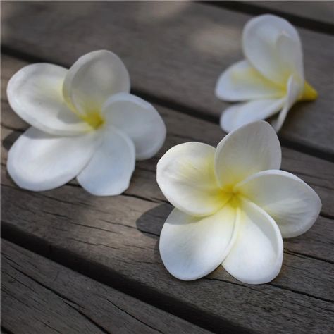 Artificial Flower Cake, Flower Cake Wedding, White Frangipani, Frangipani Flower, Plumeria Flowers, Home Wedding Decorations, Real Touch Flowers, Cake Wedding, Wedding Cakes With Flowers