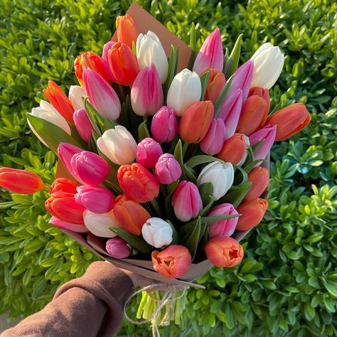 Tulips tulips TULIPS 🌷🫶🏼🥰 Dm to place your orders with @lilyyscreations 🌸🫶🏼 #flowerphotography #flowerbouquet #tulip #tulipseason #cottagecore #flowerfairies #flowers #florist Tulip Flowers Bouquet, Double Tulip Bouquet, Tulip Wedding Bouquet Spring, Tulip Bouquet Arrangement, Simple Bouquet Of Flowers, Tulips Bouquet, Tulip Season, Tulip Wedding, Spring Wedding Bouquets