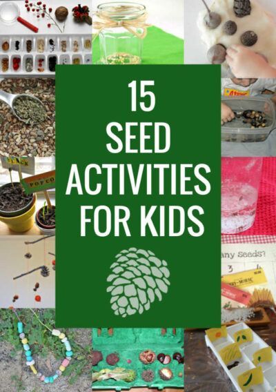 Playgroup Themes, Seed Activities For Kids, Plants Preschool, Seed Activities, Seed Collecting, Nature Learning, Activities For The Classroom, Learning Activities For Kids, Outdoor Learning Activities