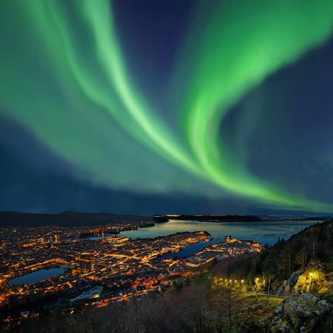 In Search of the Northern Lights? #northernlights #traveltrovevacations #norwaytravel #alaska Northern Lights Aesthetic, Northern Lights Alaska, Alaska Aesthetic, Alaska Northern Lights, Lights Aesthetic, Norway Travel, The Northern Lights, Travel Bucket, Travel Bucket List