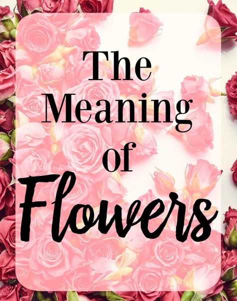 The Meaning of Flowers, Meaning of Color Roses, What do certain flowers mean, Which Flowers are Best, Flower Meanings Types Of Flowers And Meanings, Flowers And Meanings, The Meaning Of Flowers, Meaning Of Flowers, Tulips Meaning, Different Color Roses, Rose Meaning, Flower Tattoo Meanings, Sending Flowers