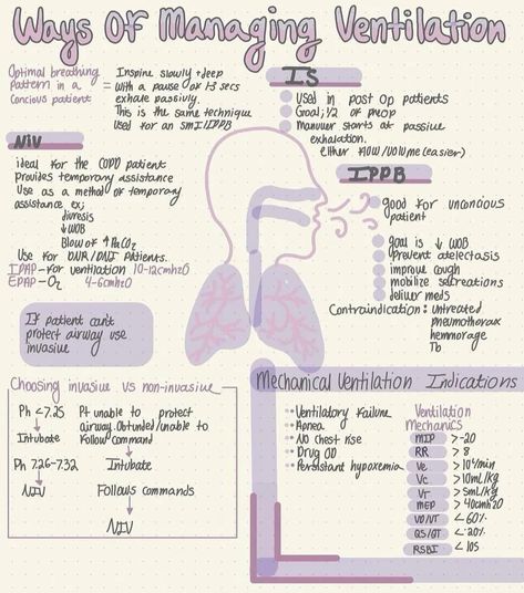 Respiratory Therapy Student Notes, Respiratory Therapist Student Notes, Respiratory Therapy Notes, Respiratory Therapist Student, Registered Respiratory Therapist, Respiratory Therapy Student, Microbiology Study, Nursing School Organization, Teaching Hacks