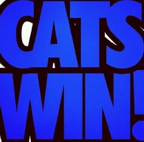 Munchkin Cat Scottish Fold, Uk Wildcats Basketball, Basketball Court Size, Basketball Rules, Kentucky Football, Basketball Information, Kentucky Wildcats Basketball, Wildcats Basketball, Uk Basketball