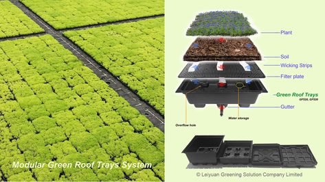 Introduction: A New Era of Green Roof Solutions As cities continue to expand, it is crucial to prioritize sustainable and eco-friendly solutions. Green roofs offer numerous environmental, financial, and aesthetic benefits. LEIYUAN GREENING SOLUTION, a top Chinese Green Roof Tray manufacturer, has developed a patented modular system that revolutionizes green roof design and installation. Company […] Green Roof Planting, Green Roof Design, Sedum Roof, Green Roof System, Chinese Green, Green Roofs, Environmental Engineering, Plant Tray, Roof Construction