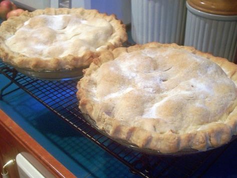 Hot Water Pie Crust Recipe, Hot Water Crust Pastry Recipe, Tenderflake Pie Crust Recipe, Hot Water Pie Crust, Hot Water Pie, Amish Pie Crust Recipe, Water Pie Recipe, Lard Pie Crust, Pastry Crust Recipe