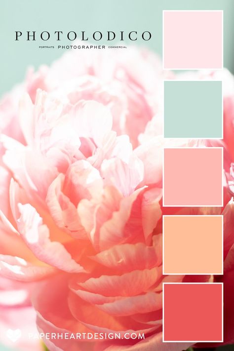 Color Palette: Peach Fuzz Pantone 2024 Color of the Year — Paper Heart Design Peony Color Palette, Color Palette Peach, 2024 Pantone Color, Rose Color Palette, Mint Color Palettes, Peach Color Palettes, Pantone 2024, Fair Outfit, Peony Colors