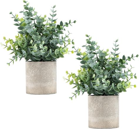 Amazon.com: Coferset 2 Pack Small Fake Plants Eucalyptus Potted Artificial Plants for Shelf Desk Home Bathroom Farmhouse Room Coffee Table Decor (Sage Green) : Home & Kitchen Chic Coffee Table Decor, Modern Home Trends, Mobile Aesthetic, Fake Eucalyptus, Fake House Plants, Fresh Bathroom, Elegant Wall Decor, Small House Plants, Wall Decor Bohemian