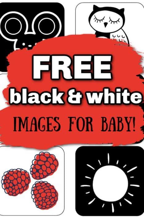 free black and white images for baby Newborn Black White Cards, High Contrast Newborn Printable, Black And White Pictures For Newborns, Black And White Images For Newborns, Free Printable High Contrast Cards, Newborn Flashcards Free Printable, Free Printable High Contrast Cards For Newborns, High Contrast Baby Images, Newborn Contrast Cards