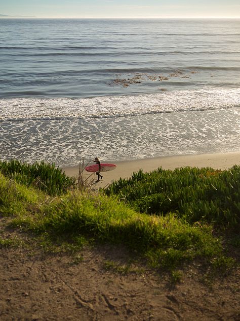 Uc Santa Barbara Campus, Isla Vista Santa Barbara, Ucsb College Aesthetic, Ucsb College, Uc Santa Barbara, Vista California, Feeling Nostalgic, Coastal Life, Dream School