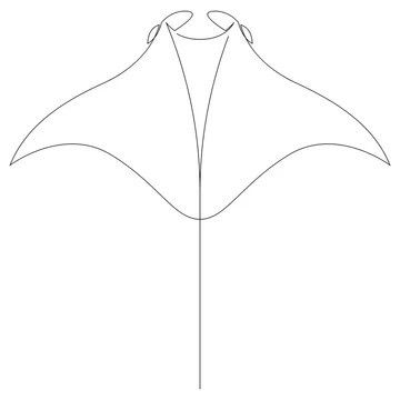 Manta Ray Tattoo Men, Fine Line Manta Ray Tattoo, Sri Lanka Tattoo Ideas, Manta Ray Outline, Simple Stingray Tattoo, Manta Tattoo, Manta Ray Tattoo, Diy Bleach, Stingray Tattoo