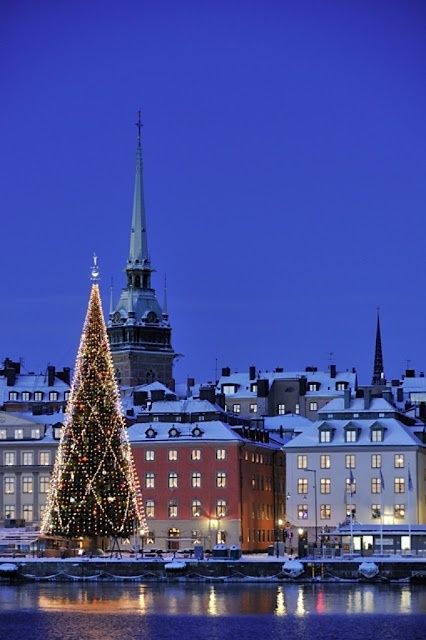 Christmas in Stockholm, Sweden Travel Sweden, Holly Christmas, Winter City, Christmas In The City, Sweden Travel, Scandinavian Countries, Swedish Christmas, Nordic Countries, Stockholm Sweden