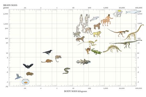 Edward Tufte - un scatterplot optimizado para evitar los rotulos Edward Tufte, Data Visualization Examples, Data Visualization Infographic, Map Diagram, Notebook Sketches, Information Visualization, Paris Map, Principles Of Design, Business Data