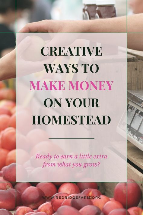 The idea of creating a self-sufficient homestead can be exciting, but most people forget to consider how they can make money off their land. From livestock to handmade crafts, there are many ways to make money on a homestead. In this post, you will learn the different ways to make money while being close to the land. Let’s get growing! Creative Ways To Make Money, Self Sufficient Homestead, Homemade Body Butter, Home Grown Vegetables, Beautiful Farm, Starting A Garden, Garden Harvest, Food Forest, Local Farmers Market