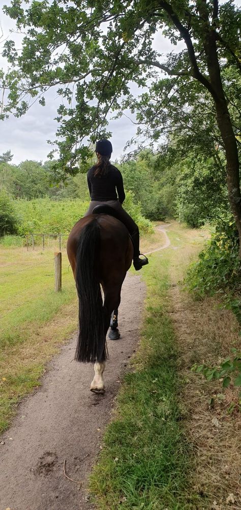 Horse Life Aesthetic, Horse Riding Aesthetic Girl, Horseback Riding Aesthetic, Horse Girl Aesthetic, Horsey Life, Horse Riding Aesthetic, Equestrian Aesthetic, Cute Horse Pictures, Horse Aesthetic