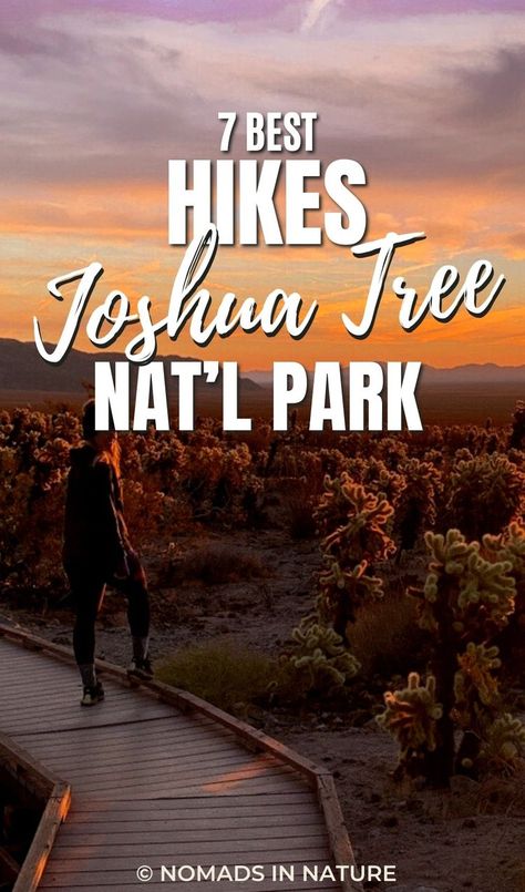 Joshua Tree Hikes, Joshua Tree Camping, Hiking Destinations, Joshua Tree National Park, California Love, Hiking Tips, Mountain Hiking, Walking Trails, Nature Trail