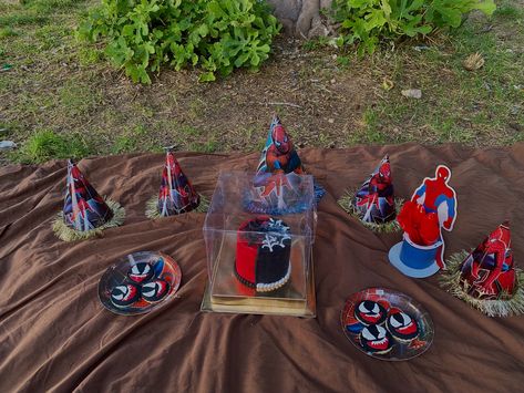 Spiderman picnic birthday theme❤️ #spiderman #birthday #picnic #spidermanaesthetic #picnicaesthetic Birthday Picnic, Picnic Aesthetic, Picnic Birthday, Spiderman Birthday, Birthday Theme, Spiderman, Birthday