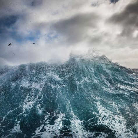 Drake Passage, Antarctica Drake Passage, Large Waves, Sea Witch, Blue Ridge Mountains, Bird Photo, Blue Ridge, Mother Nature, Art Museum, Drake