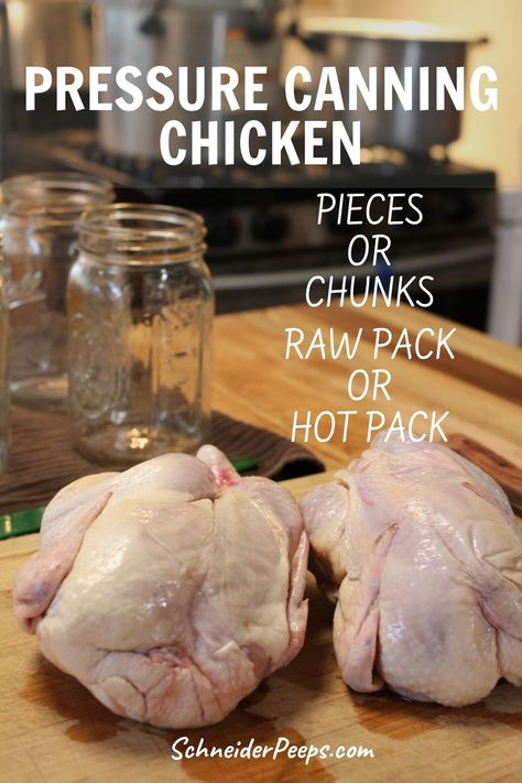 How to safely can chicken - raw and hot pack pressure canning methods - SchneiderPeeps Raw Pack Chicken Canning, Canning Raw Chicken, How To Can Chicken, Pressure Canned Chicken, Pressure Canning Chicken, Canning Methods, Canning Chicken, Hot Water Bath Canning, Preserving Recipes