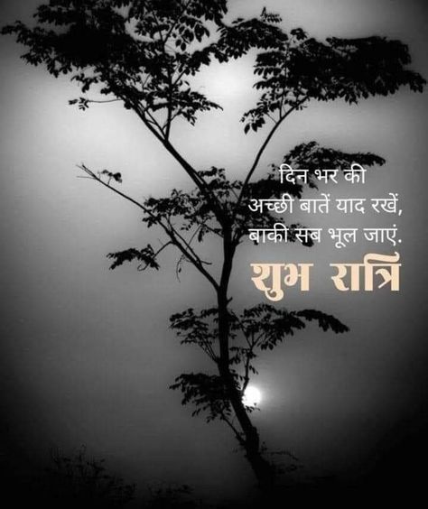 Shubh Ratri Hindi, Morning Wishes For Her, Shubh Ratri, Good Night Hindi, Good Night Massage, Cute Images For Wallpaper, Good Night Images, Beautiful Wallpapers For Iphone, Good Morning Beautiful Flowers