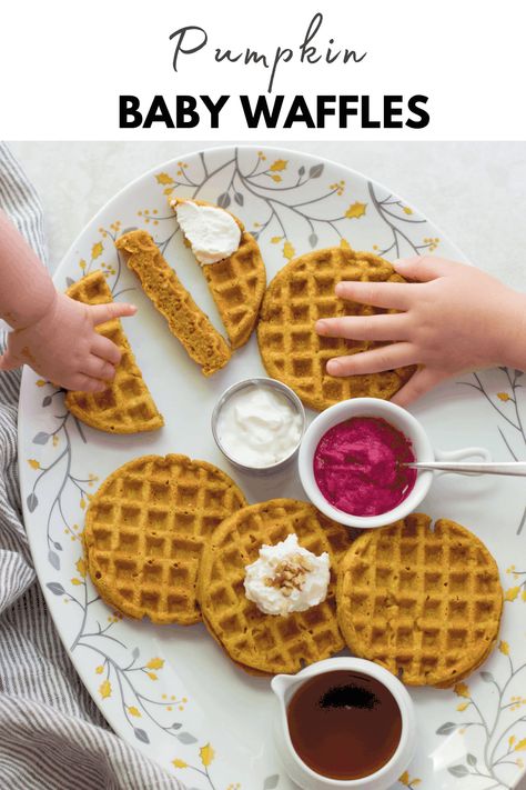 Pumpkin Waffles Blw, Mini Pumpkin Waffles, Pumpkin Recipes Baby, Pumpkin Waffles For Baby, Blw Waffles 6 Months, Blw Pumpkin Recipes, Pumpkin Recipes For Baby, Toddler Waffle Recipe, Blw Waffles