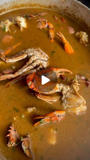 Marisa D. | Louisiana Creole | Recipes on Instagram: "Y’all asked for it so here we go! Some authentic Louisiana Creole Filé gumbo with my great aunt.  ✨ My favorite gumbo is filé gumbo. This gumbo is unique from all the other gumbos out there as it uses filé powder instead of okra to thicken it. Also it includes many types of meat and seafood.   If you want the full detail recipe and tutorial, it is on my website in my bio. Let me know if you try this.  #creole #creolefood #creolerecipes #louisiana #neworleans #gumbo #louisianacreole #risascuisine" Louisiana Seafood Gumbo Recipe Authentic, Creole Gumbo Recipe Authentic, Cajun Seafood Gumbo Recipe Louisiana, Seafood Gumbo Recipe Authentic, File Gumbo Recipe, Louisiana Gumbo Recipe Authentic, Seafood Gumbo Recipe Louisiana, Southern Gumbo Recipe, Louisiana Gumbo Recipe