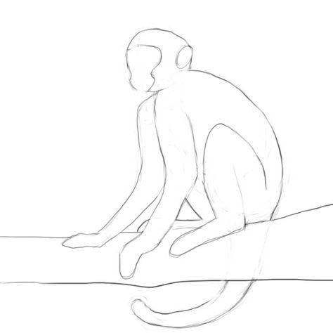 How to draw a monkey - Drawing Factory Draw A Monkey, Monkey Drawing, Monkey Tattoos, Not My Circus, Spider Monkey, Scribble Art, Collage Art Projects, Monkey Art, Your Drawing