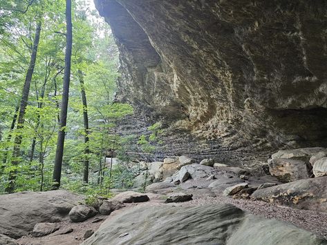 Ferne Clyffe State Park has been known as an outstanding natural scenic spot for a century. An abundance of ferns, unique geological features and unusual plant communities create an atmosphere that enhances the many recreational facilities offered at the park. Ferne Clyffe State Park is located at 90 Goreville Rd, in Goreville, Illinois. For more […] Illinois State Parks, Horseback Rider, Picnic Spot, Unusual Plants, Picnic Area, Lake View, Vacation Destinations, Travel Bucket, Hiking Trails