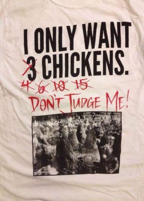 Chicken Math, Math Tshirt, Best Laying Chickens, Laying Chickens Breeds, Laying Chickens, Best Egg Laying Chickens, Egg Laying Chickens, Chicken Pictures, Chicken Bird