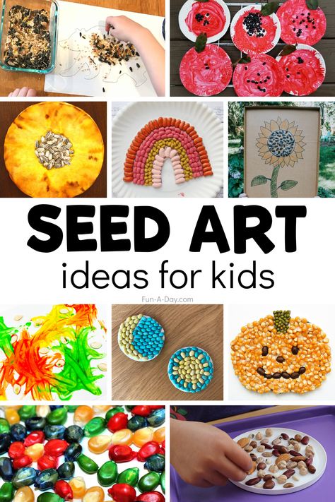 Plants And Seeds Crafts For Toddlers, Seed Art Preschool, Seed Art For Kids, Seed Collage, Seed Crafts For Kids, Seeds Preschool, Fall Pumpkin Activities, Plants Kindergarten, Seed Craft