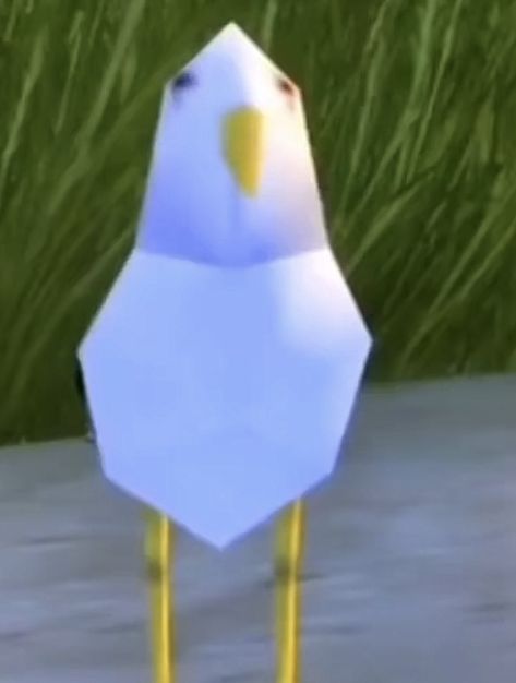 Low Poly Animals Funny, Sims 4 Seagull, Cursed Low Quality Images, Good Night Cursed Image, Cursed Lockscreen, Ha4to Pfp Monkey, Bird Pfp Aesthetic, Sims Seagull, Bird Reaction Pic