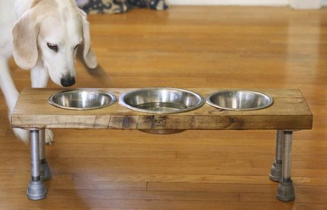 Learn how to create this simple multiple-dog elevated feeder that will look fabulous in your home, and keep your dog dishes neat and tidy. Homemade Tick Repellent, Elevated Food, Dog Bowl Holder, Raised Dog Feeder, Elevated Dog Feeder, Dog Feeding Station, Dog Urine, Ceramic Dog Bowl, Dog Grooming Tips