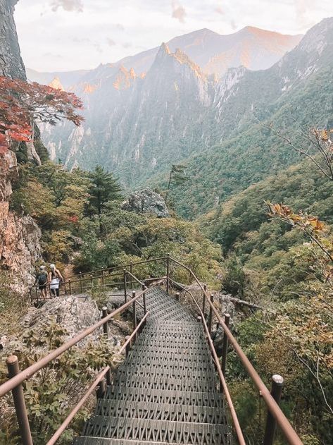 Seoraksan Hiking Guide: South Korea | Wanderlusters Travel Blog Seoul Travel Guide, Seoraksan National Park, South Korea Photography, Seoul Korea Travel, Seoul Travel, South Korea Travel, Hiking Guide, Travel Wallpaper, Photography Beach