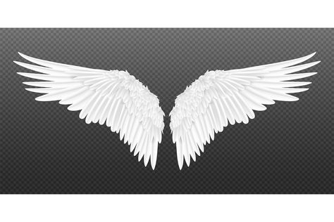 Realistic Wings, Angel Wings Background, Angel Wings Drawing, Angel Wings Wall Art, Angel Wings Illustration, Illustration Bird, Wings Png, Angel Wings Art, Best Wings