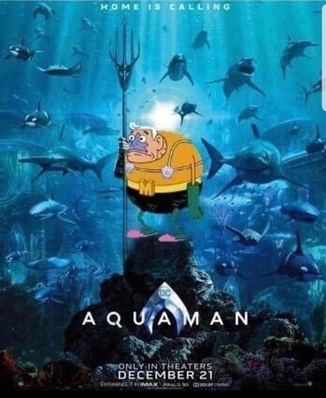 Dc Aquaman, Best Funny Photos, Memes Of The Day, Dc Memes, Spongebob Memes, Aquaman, Best Funny Pictures, Funny Posts, Funny Photos