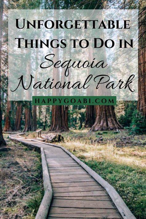 7 Unforgettable Things to do in Sequoia National Park Sequoia National Park Map, Sequoia National Park Camping, Sequoia National Park California, Yosemite Trip, National Park Map, National Parks America, National Park Camping, Kings Canyon National Park, The Redwoods