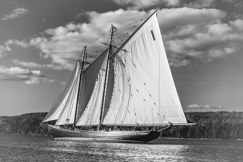 The Bluenose - ConniePublicover Bluenose Ship, Bluenose Schooner, Sailboat Photography, Boat Photography, Key West Sunset, Sailboat Racing, Navi A Vela, Mandala Digital, Sailing Art