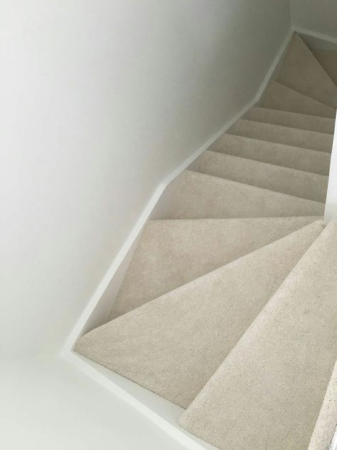 Light cream carpet on stairs Stair Hallway Decor, Carpet On Stairs, Grey Stair Carpet, Light Stairs, Stairs Light, Patterned Stair Carpet, Carpeted Stairs, Stairs Carpet, Carpet Staircase