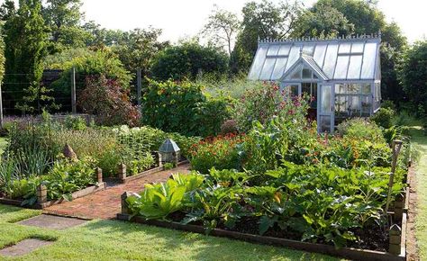 Kitchen Garden Greenhouse, Vegetable Garden With Shed, Walled Kitchen Garden, English Kitchen Garden, Vegetable Garden With Greenhouse, Vegetable Garden Design Australia, Garden And Greenhouse Layout, Back Garden Vegetable Patch, Mediterranean Vegetable Garden