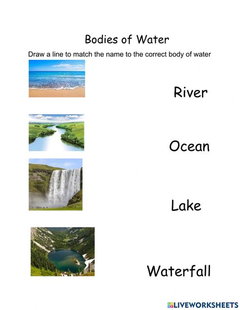 Sources Of Water Images, Water Activities Preschool, Animals Live In Water, Fun Science Worksheets, Landforms And Bodies Of Water, Sources Of Water, Water Forms, Esl Materials, Reading Comprehension For Kids