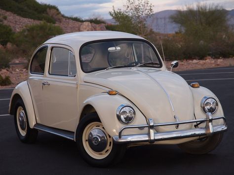 Volkswagen Beetle 1967, Volkswagen Vintage, Classic Volkswagen Beetle, Vw Beetle Convertible, Beetle Car, Classic Volkswagen, Beetle Convertible, Vw Beetle Classic, Vw Beetle