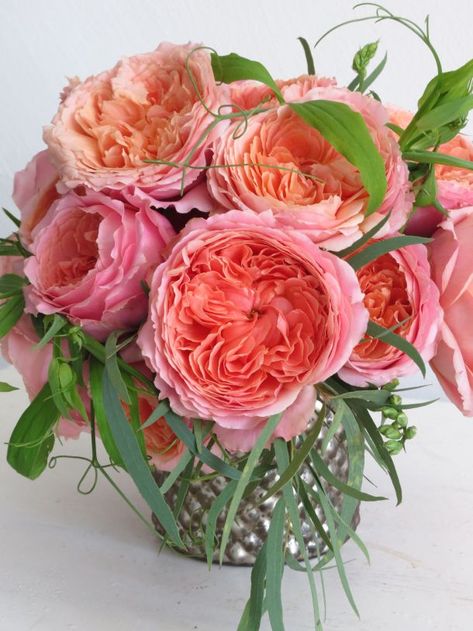 Garden Roses Hug Emoticon, Rose Belle, David Austin Roses, David Austin, Beautiful Flower Arrangements, Flower Quotes, Deco Floral, Garden Roses, Antique Roses